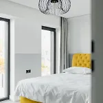 Nest Meteor