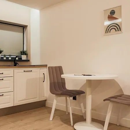Nest Meteor Apartment Cluj-Napoca