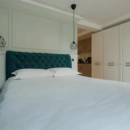 Nest Meteor Apartment