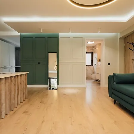 Nest Meteor Apartment
