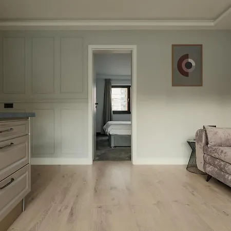 Nest Meteor Apartment *
