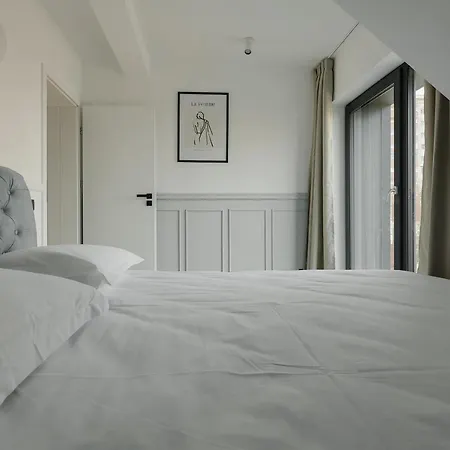 Nest Meteor Apartment
