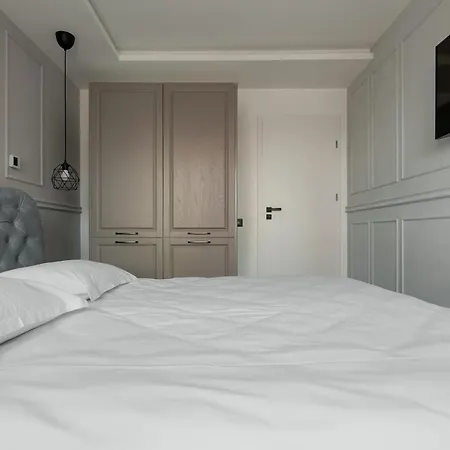 Nest Meteor Apartment *