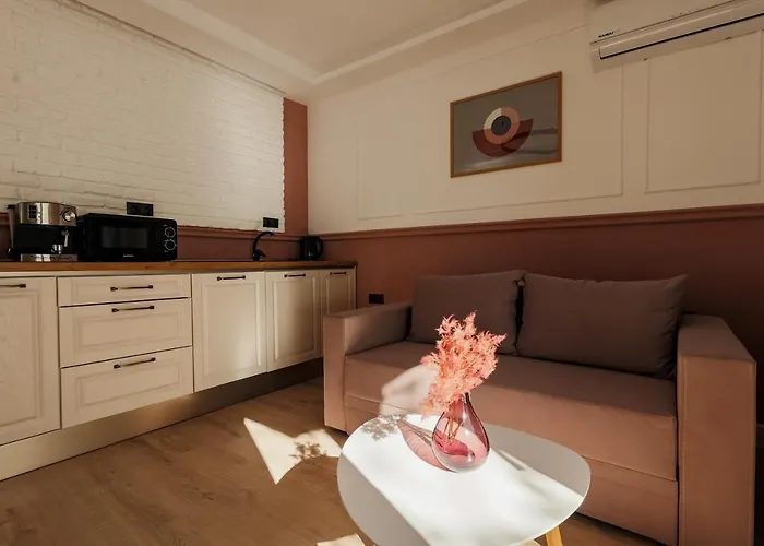 Nest Meteor Κλουζ-Ναπόκα